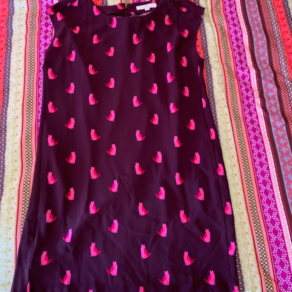 loft cat dress